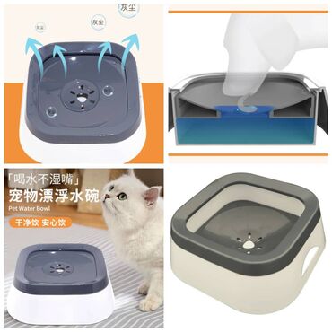 Зоотовары: ПРОДАЮ КОШАЧЬЮ МЯТУ(АНТИСТРЕСС),ПОРАДУЙТЕ СВОГО КОТИКА ТАКОЙ — 7