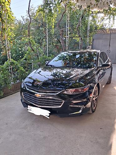 devo matiz: Chevrolet Malibu: 2015 г., 2 л, Автомат, Бензин, Седан — 5