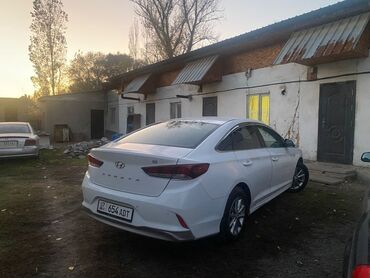 хендай ионик гибрид: Hyundai Sonata: 2019 г., 2 л, Автомат, Газ, Седан