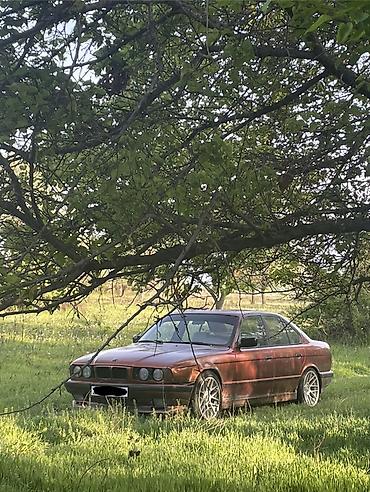 бампер bmw e34: BMW 5 series: 1993 г., 3 л, Механика, Бензин, Седан — 3