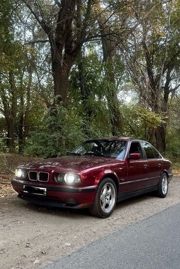 бмв х5 запчасти: BMW 5 series: 1995 г., 2.5 л, Автомат, Бензин, Седан