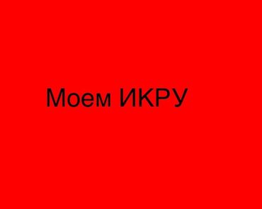 на мясо: Предоставляем услуги промывки ИКРЫ в больших объемах, делаем быстро и