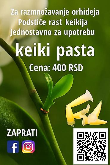 vozic za cvece: Keiki pasta za razmnozavanje i produzetak cvetanja vaše — 1