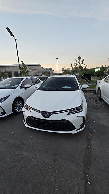 левин: Toyota Corolla: 2023 г., 1.8 л, Вариатор, Гибрид, Седан — 8