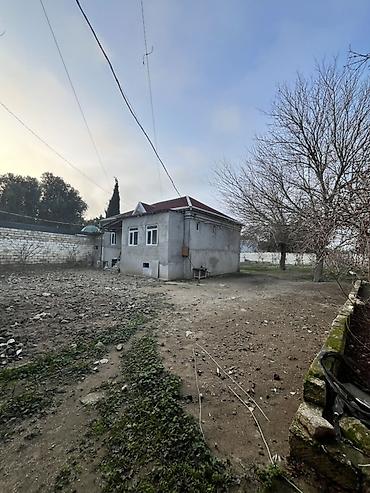 alatava ev: 10 sot, Tikinti, Mülkiyyətçi, Kupça (Çıxarış) — 9