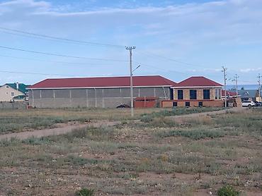 Профнастил: Профнастил наилучший способ перекрыть крушу! У нас материал от at lalafo.kg — 8 Профнастил: Профнастил наилучший способ перекрыть крушу! У нас материал от — 8