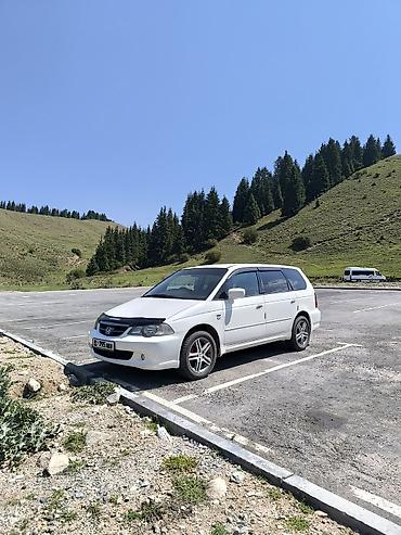 camry 2 4: Honda Odyssey: 2002 г., 2.3 л, Автомат, Бензин, Минивэн — 4