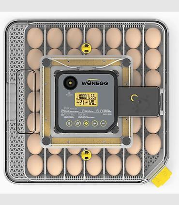 цыпа: Инкубатор Wonegg 48H Компактный интеллектуальный инкубатор для — 4