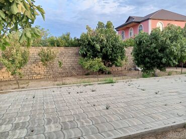 Bağ evlərinin satışı: Bakı, Albalı, 100 kv. m, 3 otaqlı, Kombi, Qaz, Su -da lalafo.az — 5 Bağ evlərinin satışı: Bakı, Albalı, 100 kv. m, 3 otaqlı, Kombi, Qaz, Su — 5