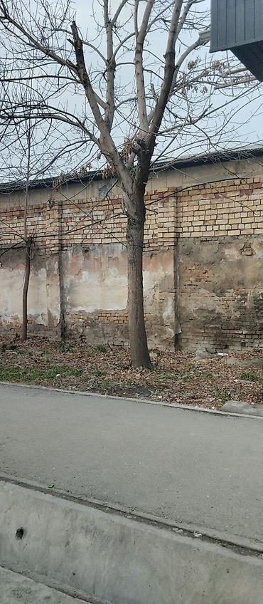 Манас шаары,Чеховадан бизнеске ылайык жер сатылат.Кызыл китеп