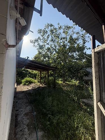 Torpaq sahələrinin satışı: 25 sot, Tikinti, Mülkiyyətçi, Kupça (Çıxarış) — 26