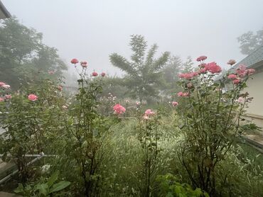 Günlük kirayə evlər: 230 kv. m, 6 otaqlı, Kanalizasiya, Kombi, Qaz — 14