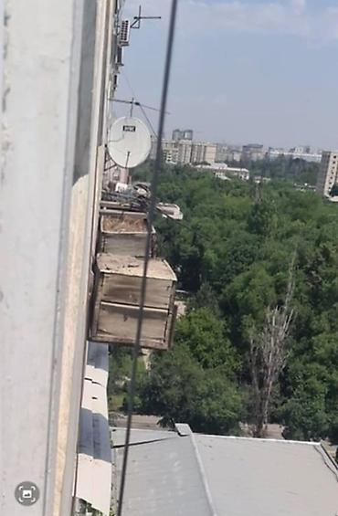 Батирлер: 1 бөлмө, БГУ Кыймылсыз мүлк агенттиги, Жаныбарлары жок, 1 айдан баштап, 3 айдан баштап, 6 айдан баштап, Жарым -жартылай эмереги бар — 1
