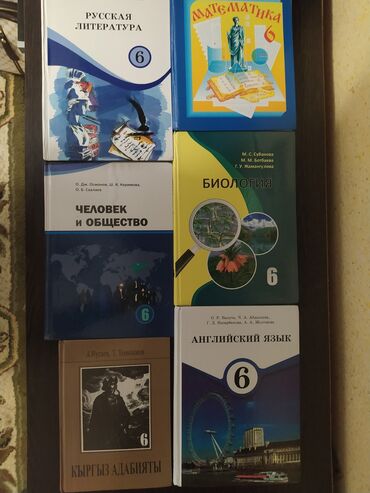 6 класс книги: Орус адабияты, 6-класс