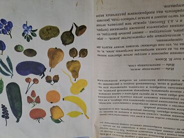 Digər kitablar və jurnallar: Большая энциклопедия начальной школы(полный курс начальной школьной -da lalafo.az — 4 Digər kitablar və jurnallar: Большая энциклопедия начальной школы(полный курс начальной школьной — 4