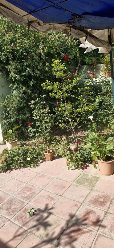 Həyət evləri və villaların satışı: 3 otaqlı, 95 kv. m, Kredit yoxdur, Yeni təmirli -da lalafo.az — 5 Həyət evləri və villaların satışı: 3 otaqlı, 95 kv. m, Kredit yoxdur, Yeni təmirli — 5