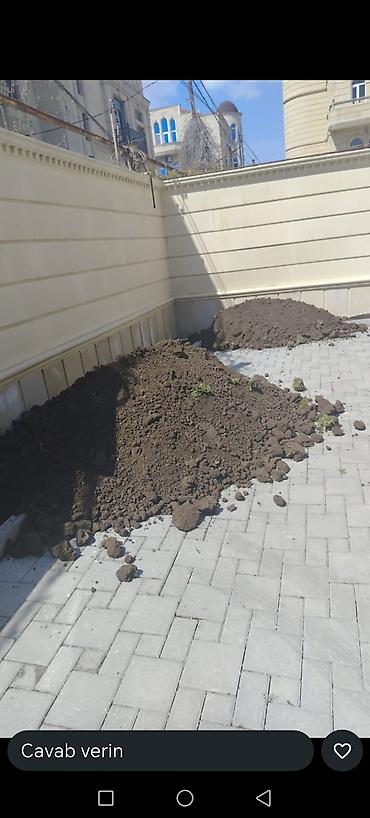 karton qutu alışı: Qara torpaq – landşaft Bağ, bostan və qazon üçün yüksək keyfiyyətli — 1