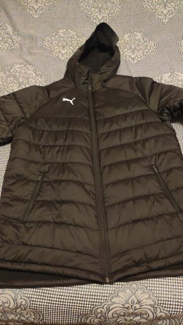zhenskie krossovki puma ferrari: Куртка Puma, XL (EU 42), цвет - Черный