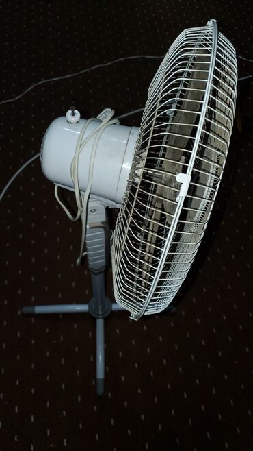 muzhskie dzhinsy 7 for all mankind: Standing fan for sale