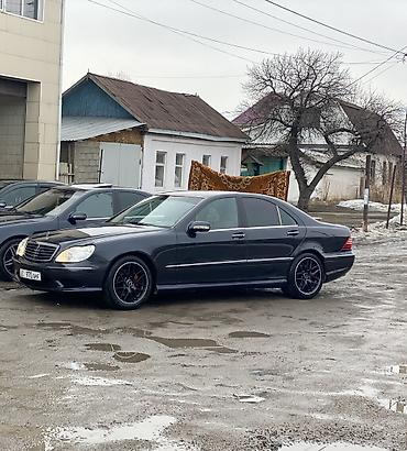 e60 m5: Mercedes-Benz S-Class: 2000 г., 5 л, Автомат, Газ, Седан — 2