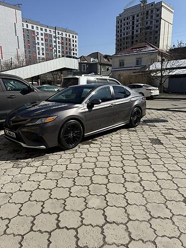 crown athlete: Toyota Camry: 2019 г., 2.5 л, Автомат, Бензин, Седан — 2
