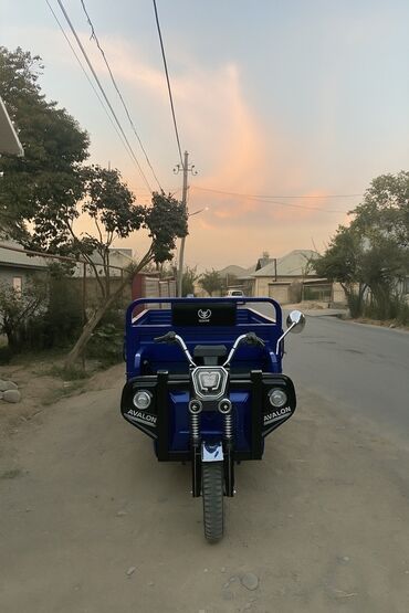 машина за 4000 долларов: Жеңил жүк ташуучу унаа, Стандарт, 1ге чейин т, Жаңы