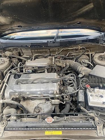 сильвия ниссан: Nissan Primera: 1999 г., Автомат, Бензин, Седан — 8