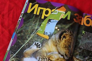 Sličice i albumi za sličice: NATIONAL GEOGRAPHIC JUNIOR 31 | National Geographic Junior broj 31 — 2