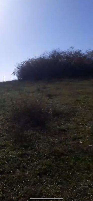 Torpaq sahələrinin satışı: 10 sot, Tikinti — 5