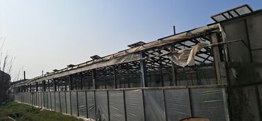 İstixanalar və parniklər: Sənaye tipli istixana kompleksi Taxda 6 metrelik 5.10 /90 ədəd 5.15 — 4