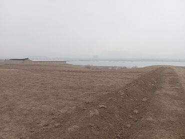 Продажа участков: 1300 соток, Для сельского хозяйства, Договор купли-продажи — 11