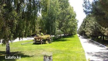 Продажа домов: Коттедж, 65 м², 4 комнаты, Собственник — 2