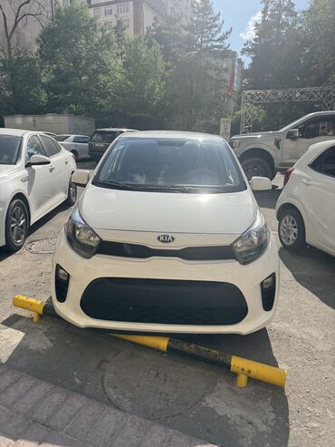 Kia: Kia Morning: 2019 г., 1 л, Автомат, Бензин, Хэтчбэк