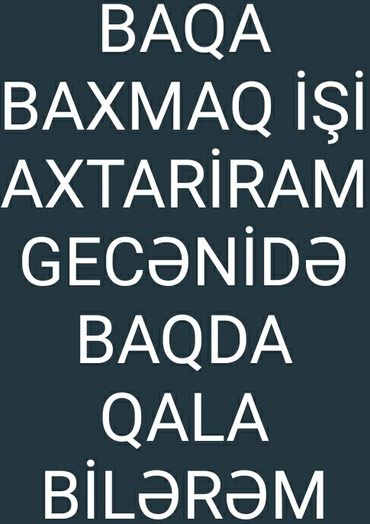 Bağbanlar, baytarlar: - lalafo.az Bakı şəhərində
