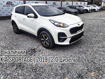 kia sportage 2019: Kia Sportage: 2019 г., 2 л, Автомат, Дизель, Кроссовер