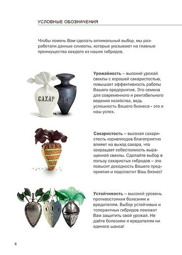 Свёкла: 10+1 акция срочно Семена Сахарной свеклы компании Beta Seed 2025 — 2