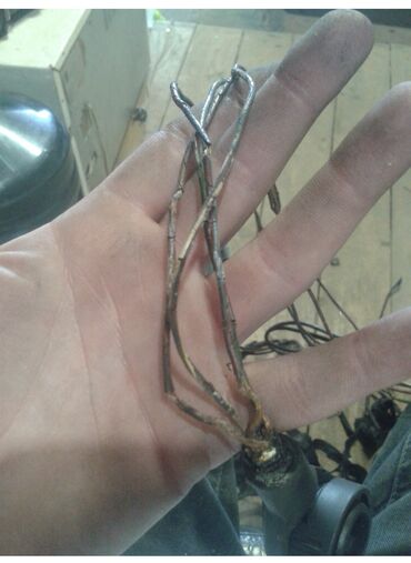 СТО, ремонт транспорта: Услуги автоэлектрика, без выезда — 3