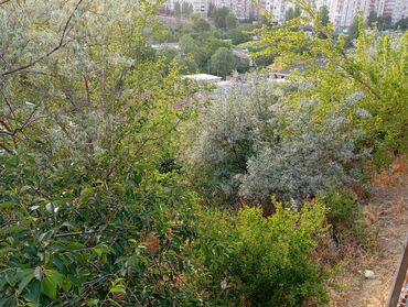 Torpaq sahələrinin satışı: 9 sot, Tikinti, Mülkiyyətçi