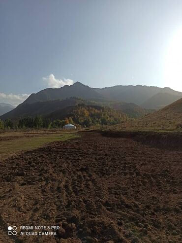 Услуги портера: Заказать Самосвал, Доставка щебня, угля, песка, чернозема, отсев — 23