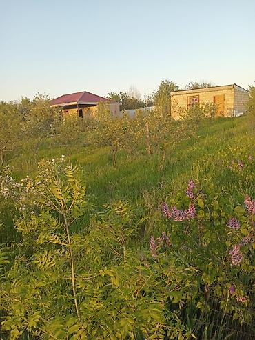 şağan torpaq: 6 sot, Tikinti, Mülkiyyətçi, Kupça (Çıxarış) — 8
