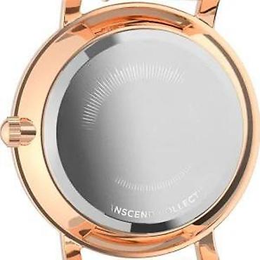 Ručni satovi: AKCIJA - TIMEX TW2V52500UK - 34mm - Roze zlatna Potpuno nov i — 10