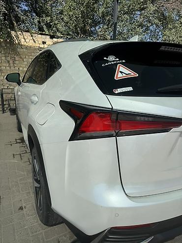 Продажа авто: Lexus NX: 2020 г., 2.5 л, Автомат, Гибрид, Кроссовер — 1