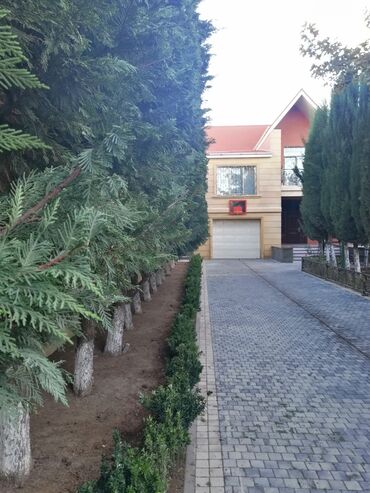 Landşaft işləri: Salam aleykum Adim Sahib 44yaşim var Bakida yaşayiram Gündelik olaraq — 18