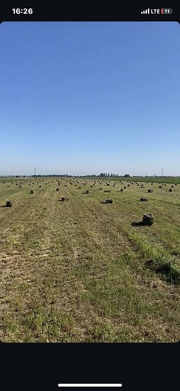 трактор беларус 82.1 цена бишкек бу: Пресс-подборщик тюковый кыргызстан пресс пресс подборщик трактор — 5
