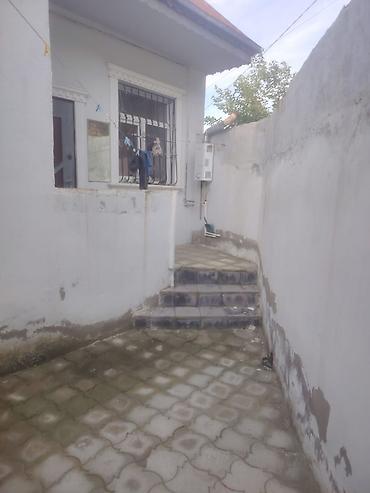 canta kişi: 55 kv. m, 2 otaqlı, Telefon, İnternet, Qaz — 8