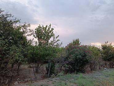 Həyət evləri və villaların satışı: 5 otaqlı, 143 kv. m, Təmirsiz — 19