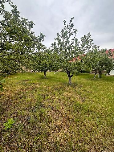 7 mikrorayon: Bakı, 1200 kv. m, 7 otaqlı, Hovuzsuz, Su — 2