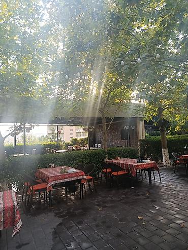 Əməkdaş axtarışı (vakansiyalar): Ofisiant tələb olunur — 2