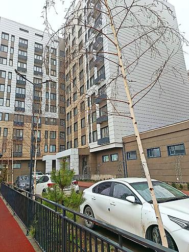 леваневского: 2 комнаты, 55 м², Нижний Джал (Джал-23) Элитка, 6 этаж, Евроремонт — 9