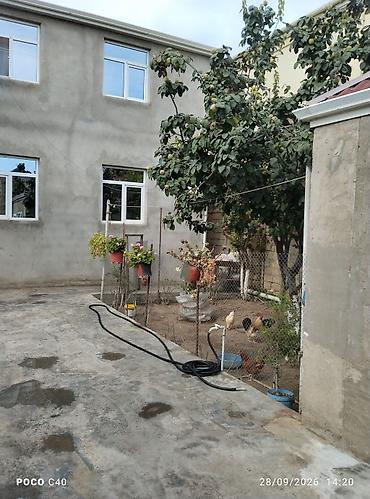 Həyət evləri və villaların satışı: 6 otaqlı, 6 kv. m, Orta təmir — 17